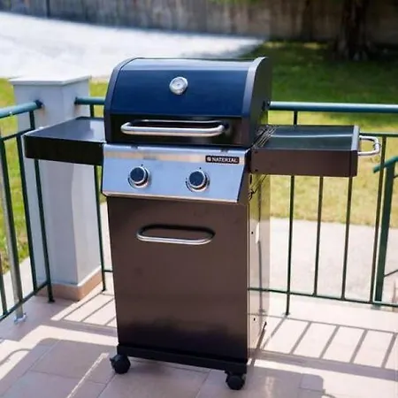 Irene's Olive Дом отдыха *